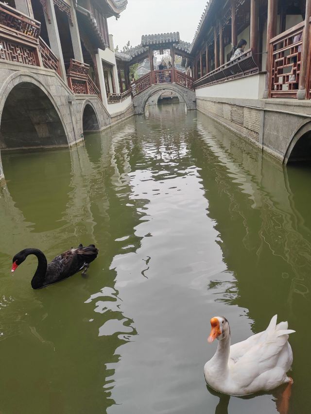 宛园旅行图片 2