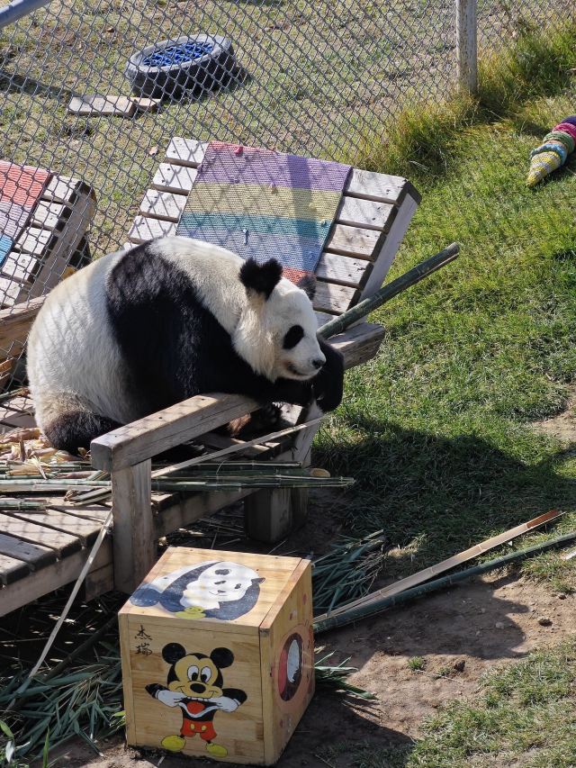 林胡古塞旅行图片 1