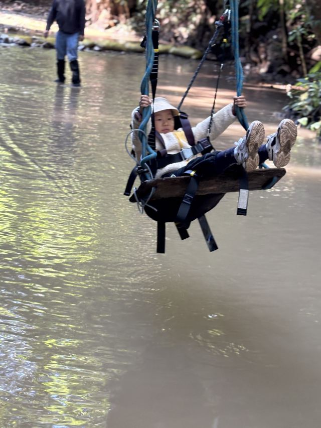 基诺山雨林徒步旅行图片 6
