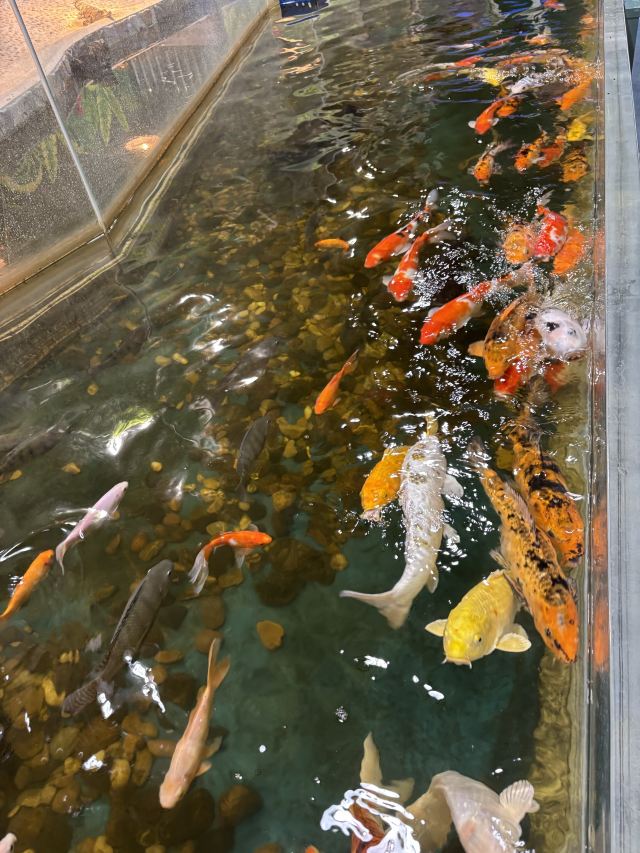 东方明珠公园旅行图片 6