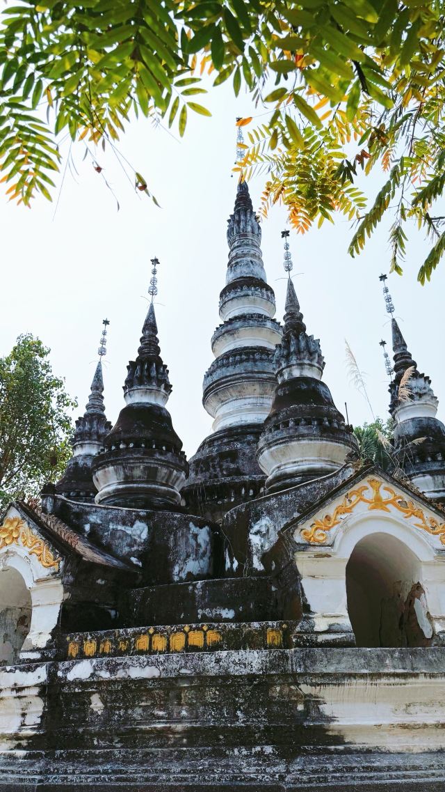 曼听御花园景区旅行图片 5
