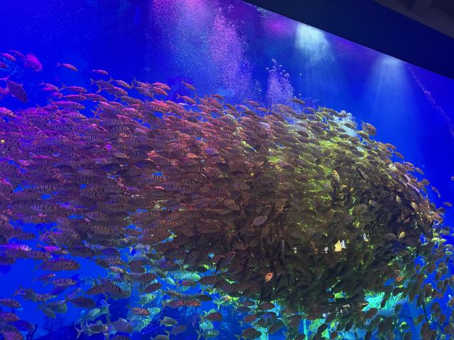 郑州海昌海洋公园旅行图片 2