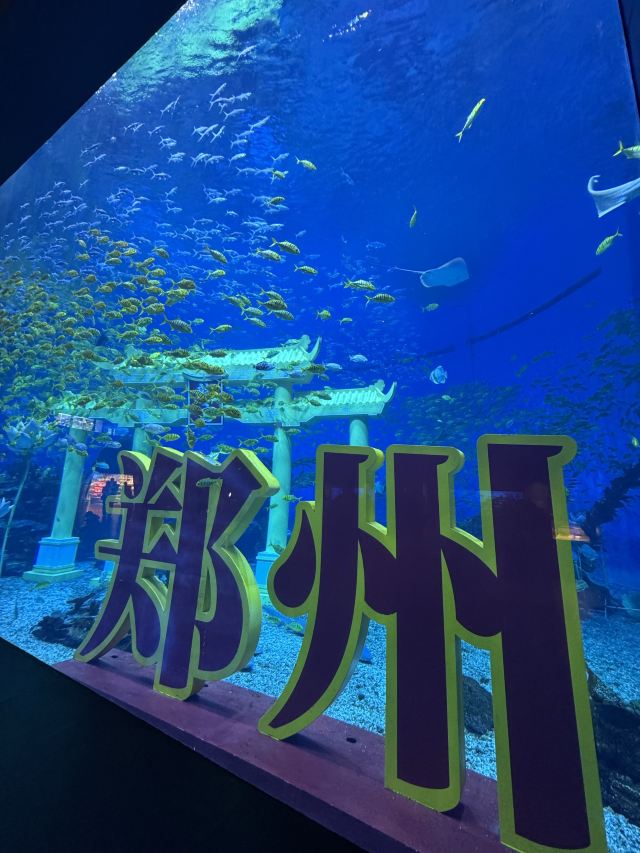 郑州海昌海洋公园旅行图片