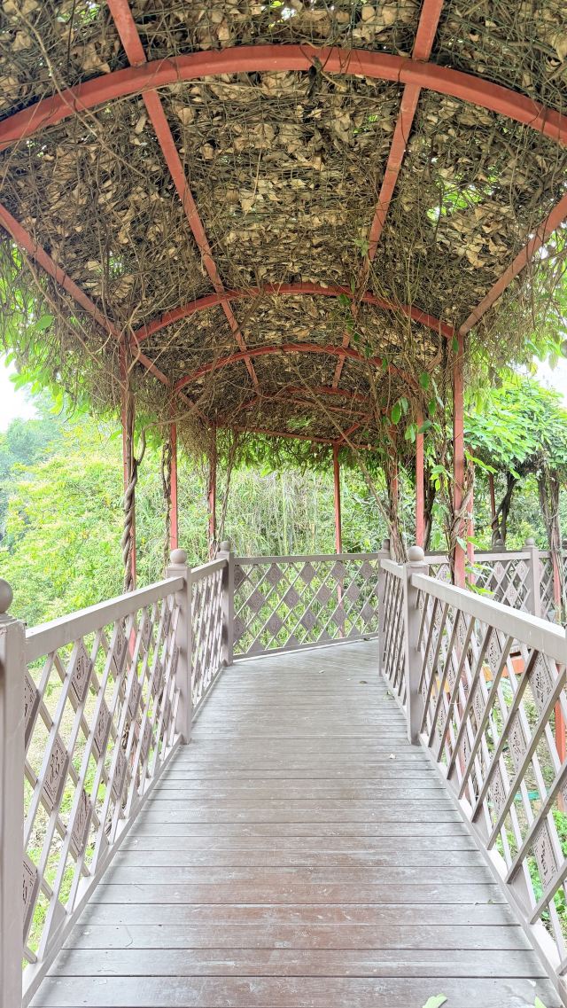 广州海珠国家湿地公园旅行图片 3