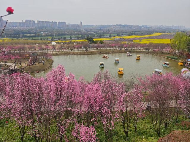 音乐·百花谷旅行图片 1