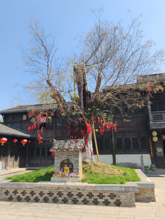 宝华山国家森林公园旅行图片 2