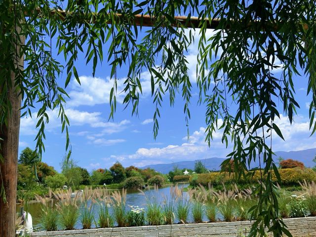 大理水花庄园旅行图片 1