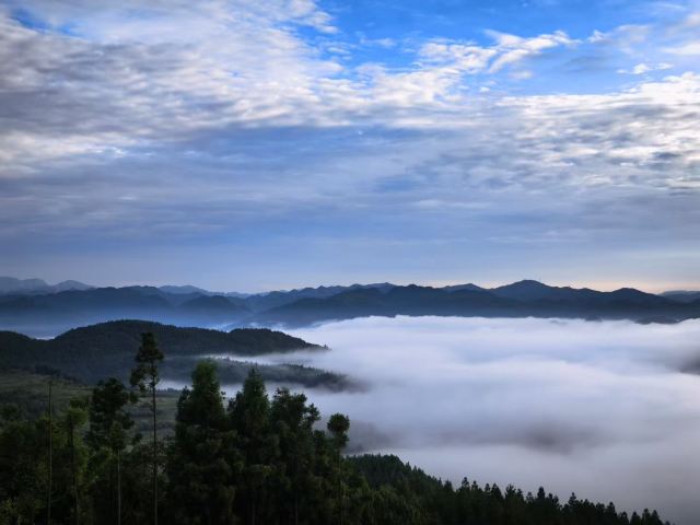 水城国家杜鹃公园旅行图片 2