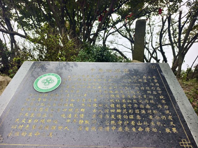 长沙黑麋峰森林公园旅行图片 4