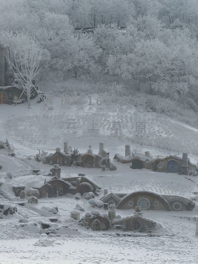云上草原国际山地旅游度假区旅行图片 6