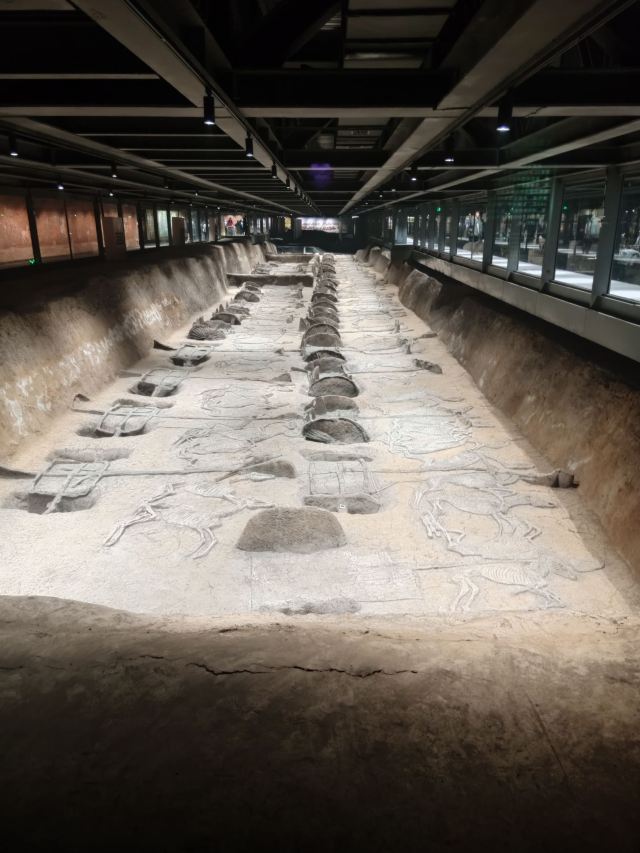 楚王车马阵景区旅行图片