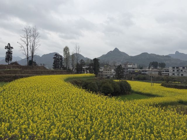 平塘天硐旅行图片 7