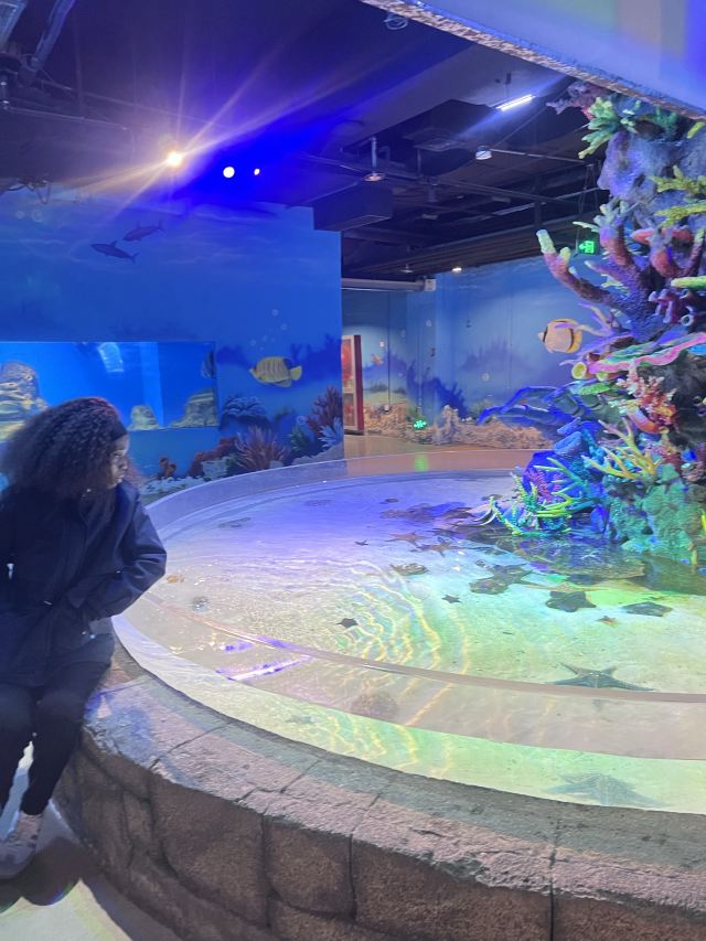 呼和浩特海洋馆旅行图片 2
