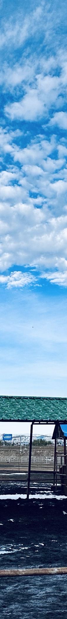 额尔古纳-Josephwu