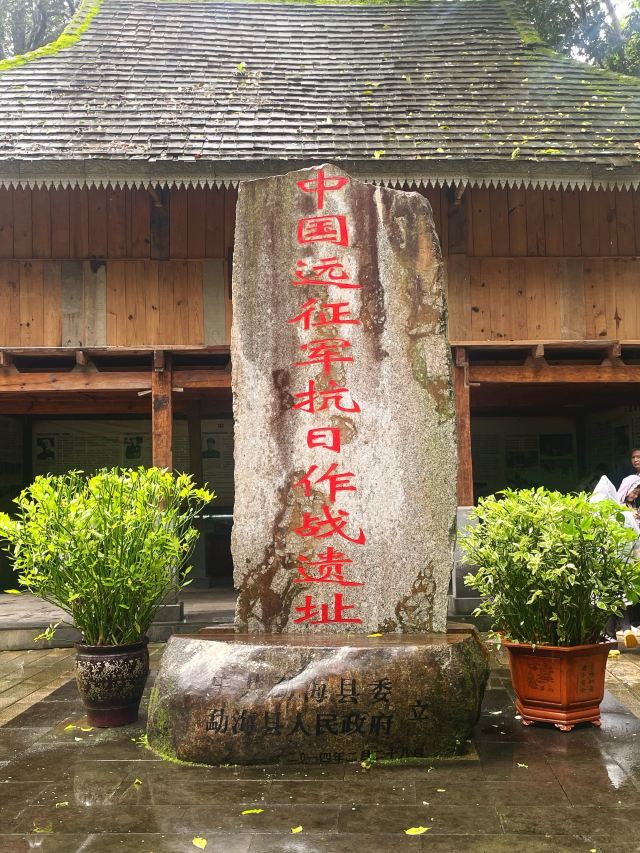 西双版纳独树成林景区旅行图片 7