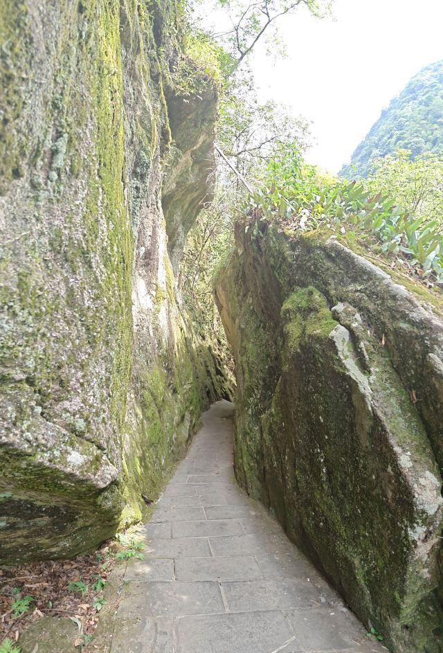 炎陵县神农谷国家森林公园旅行图片 2