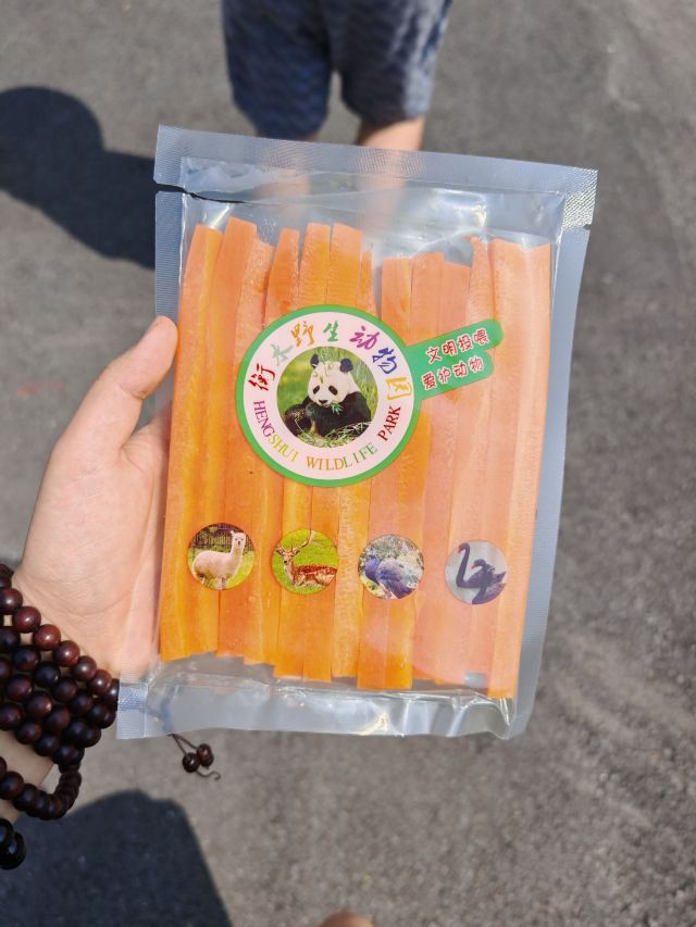 衡水野生动物园旅行图片 1