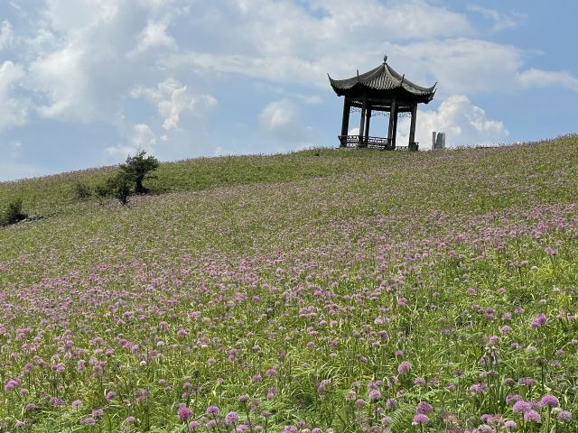 韭菜坪旅行图片 1