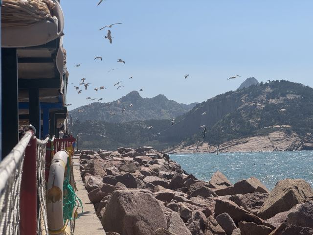 西霞口神雕山野生动物世界奇遇乐园旅行图片 1