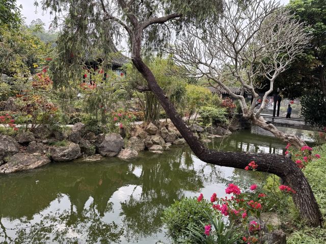 中山詹园旅行图片 5