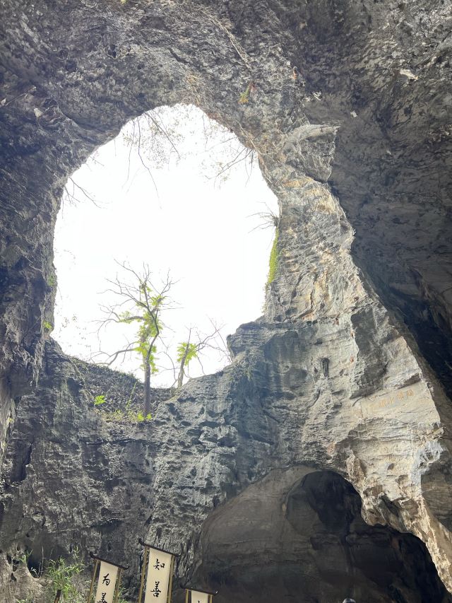 阳明心谷景区旅行图片 4