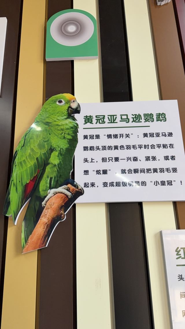 太原动物园旅行图片 1