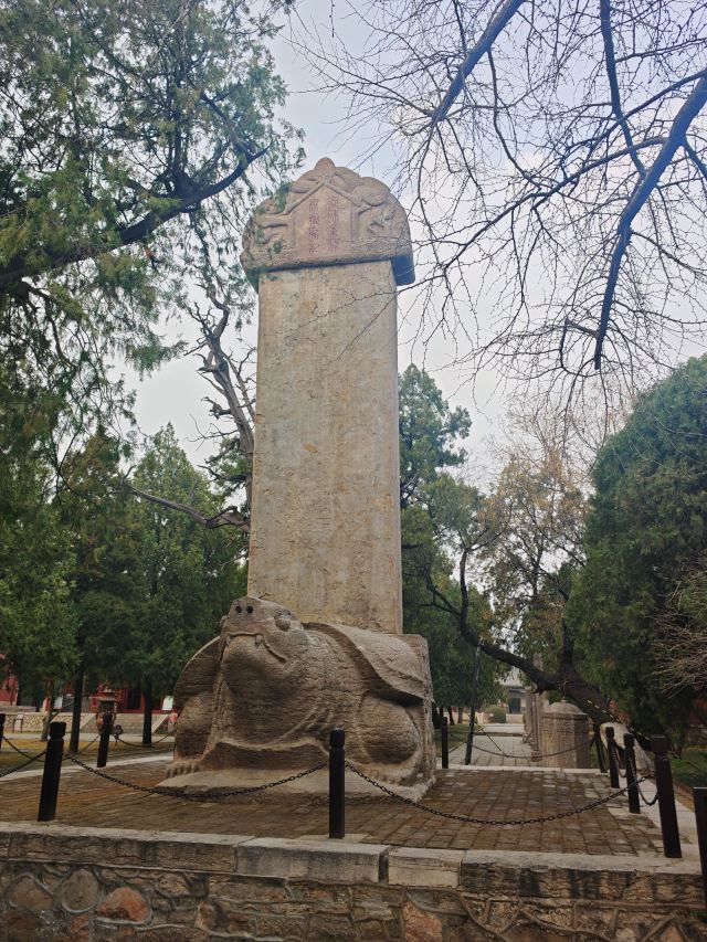 岱庙旅行图片 3