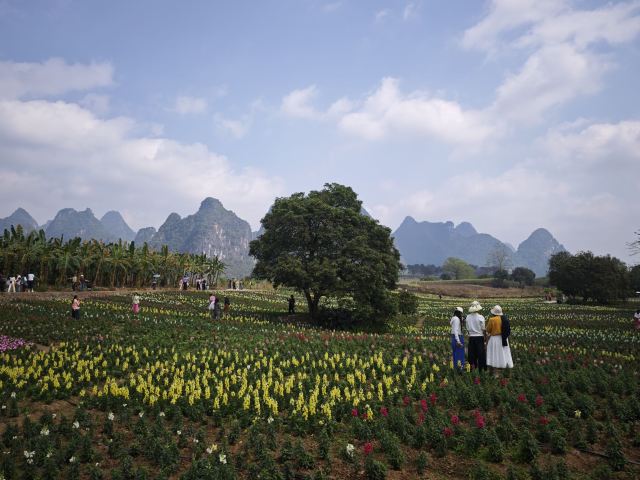 峒那屿湾旅行图片 2