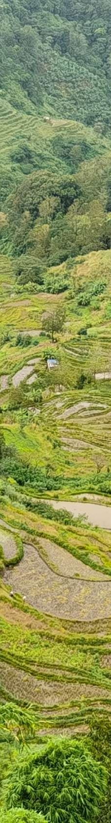 老虎嘴梯田-元阳-YoYo_9C7S1N1L