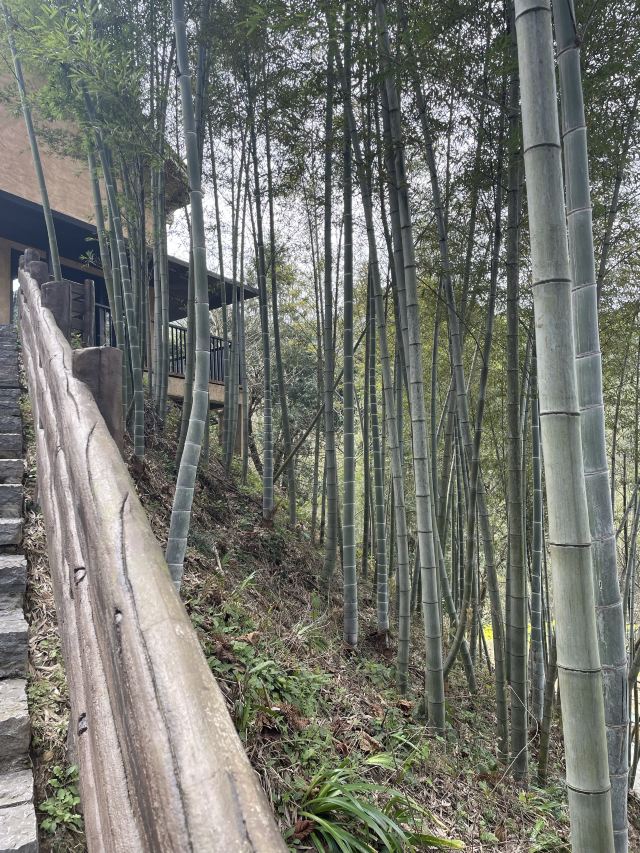 万安高岭宿集风景区旅行图片 3