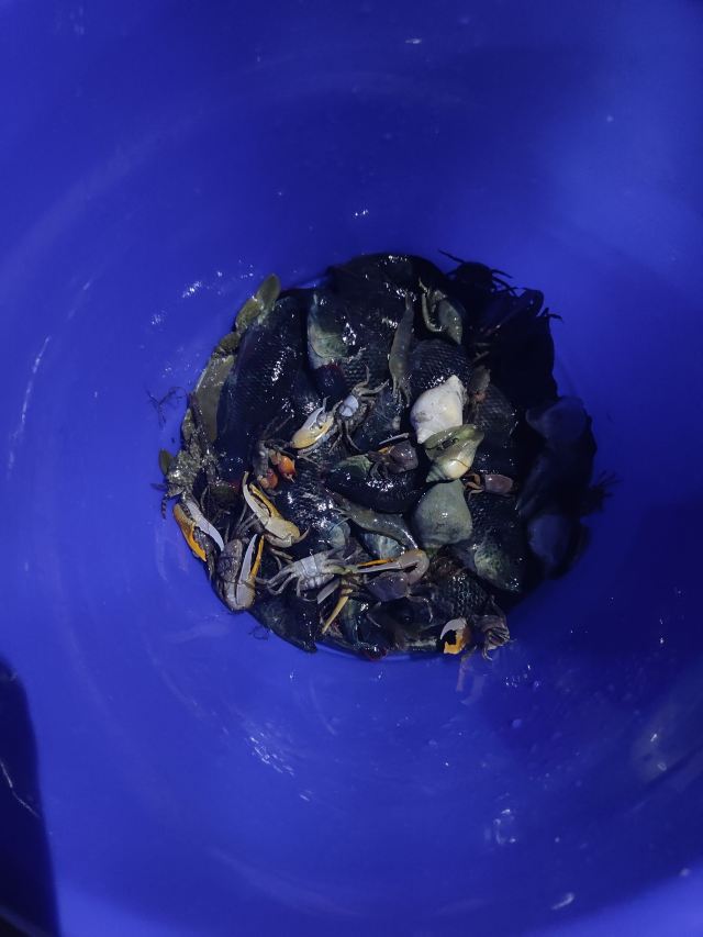 神州半岛旅游度假区旅行图片 1