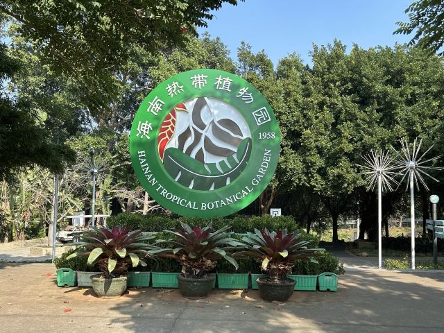 海南热带植物园旅行图片 1