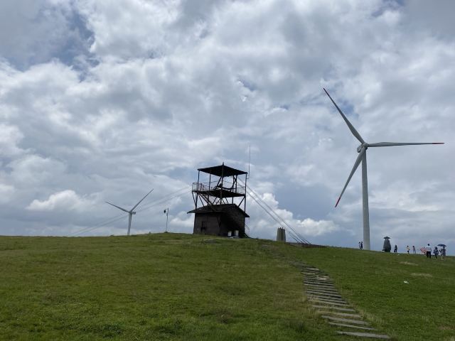龙里油画大草原旅行图片 1