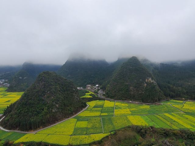 万峰湖红椿船舶旅游乘船区旅行图片 1
