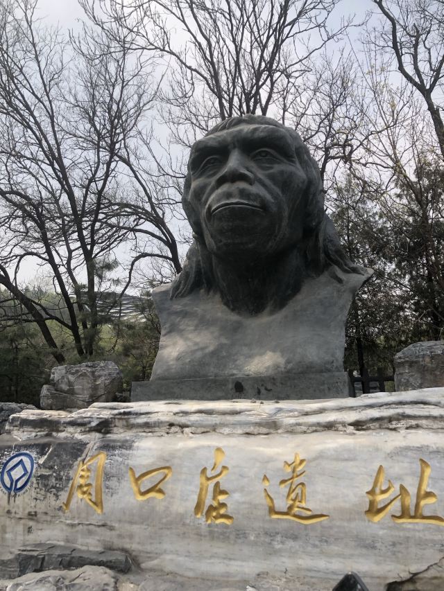 周口店遗址博物馆旅行图片 2