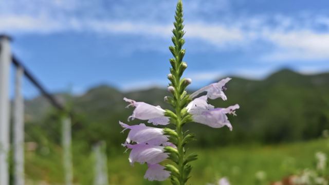 娘子关旅行图片 6