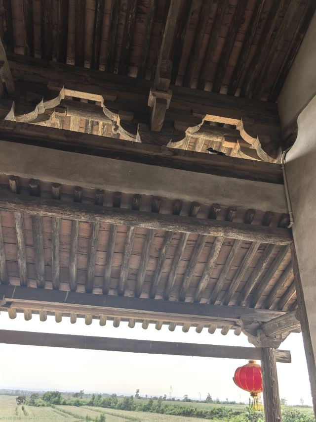 白台寺旅行图片 3