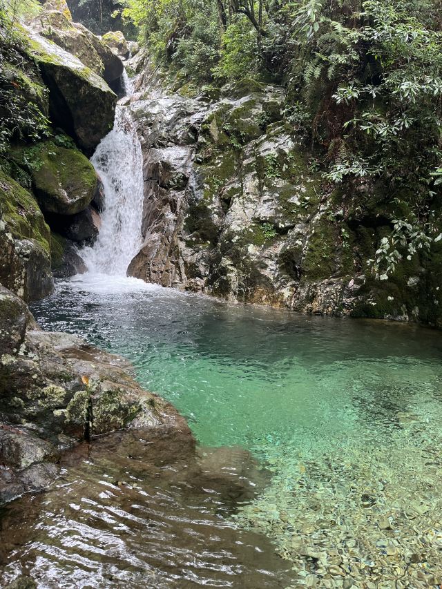 箬寮原始森林旅行图片 2