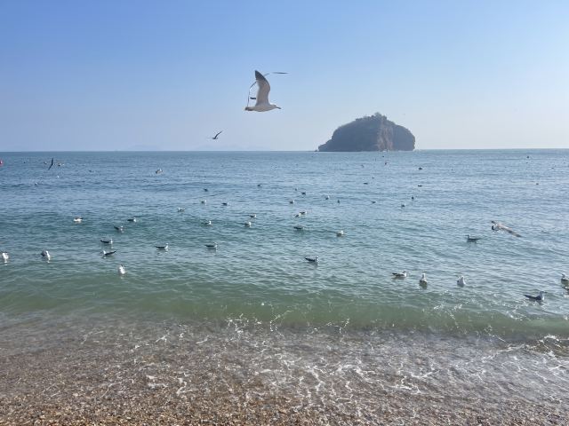 棒棰岛旅行图片 1
