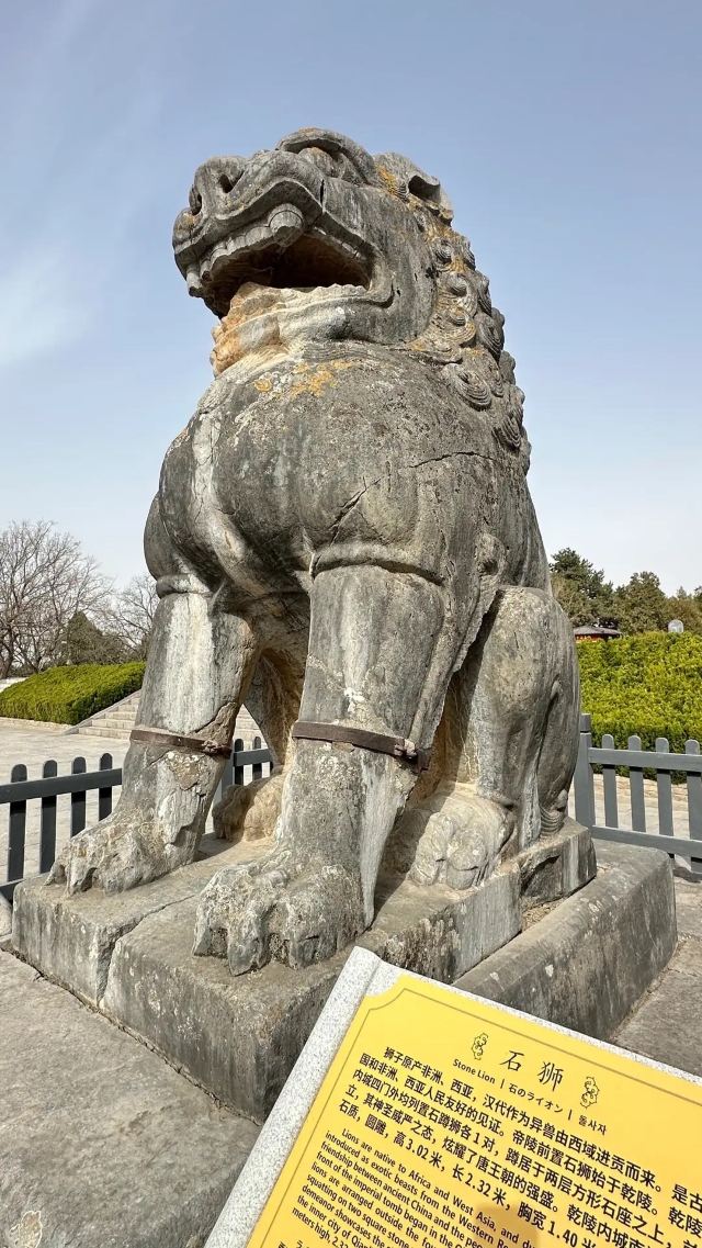 乾陵景区旅行图片 6