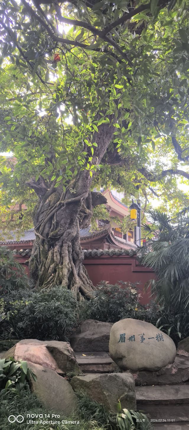 三苏祠旅行图片 3