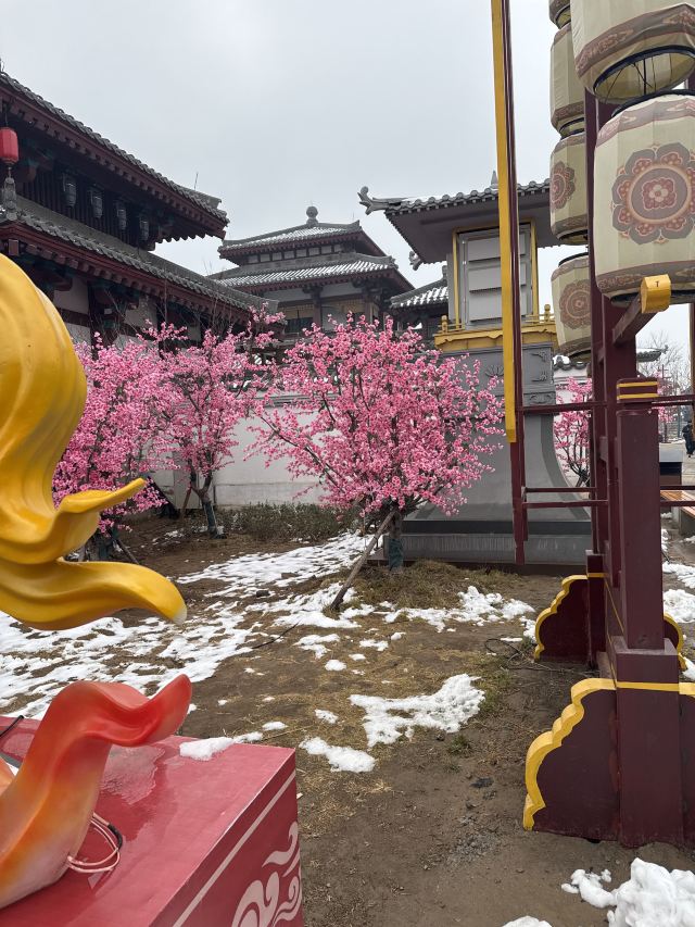 乐陵影视城旅行图片 2