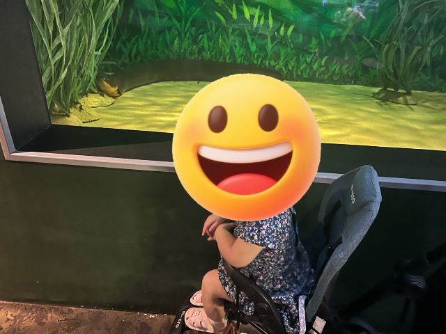 上海海洋水族馆旅行图片 3