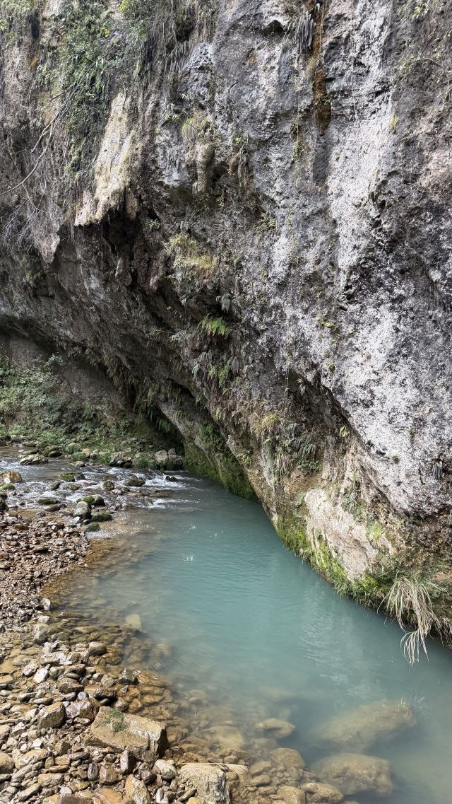 张家界大峡谷旅行图片 1