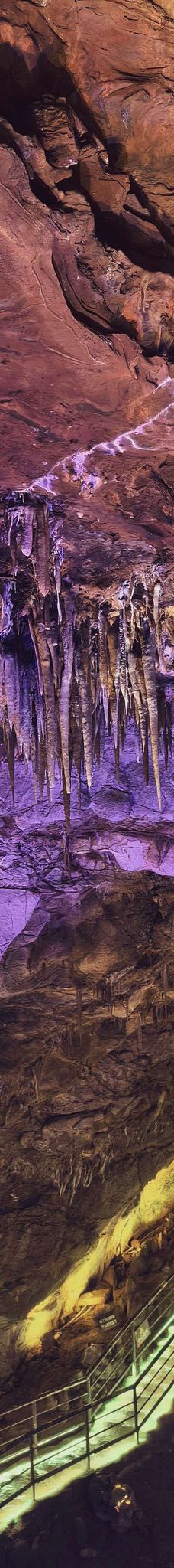 古猿人洞-南京-YoYo_0Q5E1Q9A