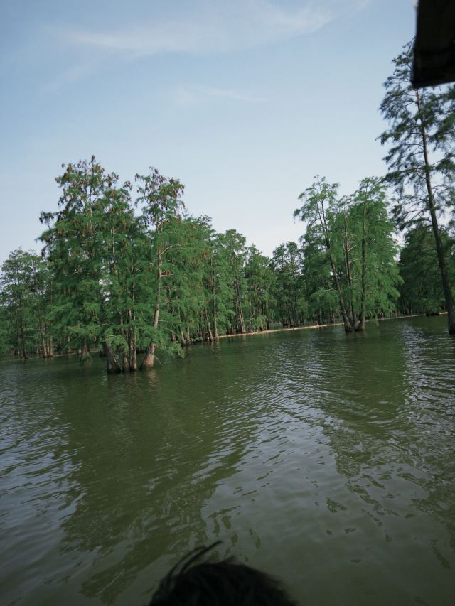 池杉湖国家湿地公园旅行图片 3
