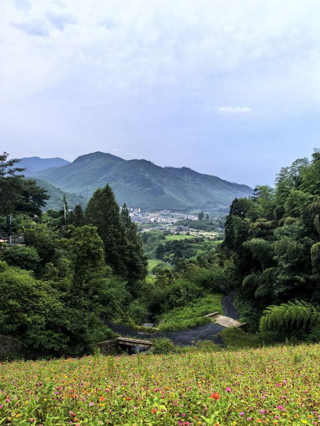 云上草原七星谷旅行图片 5