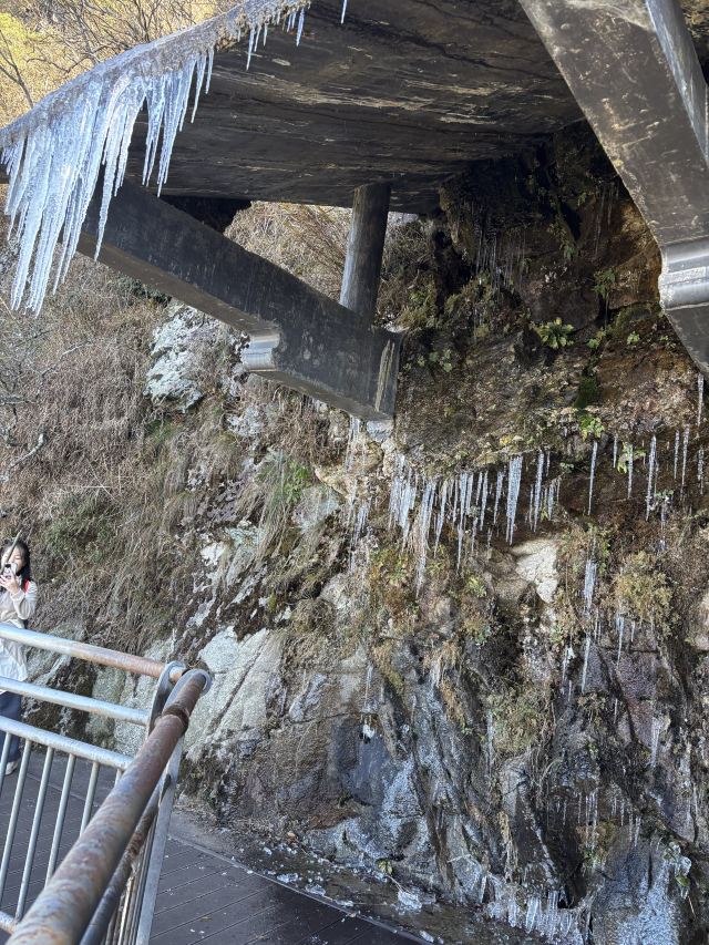 天岳幕阜山森林公园旅行图片 7