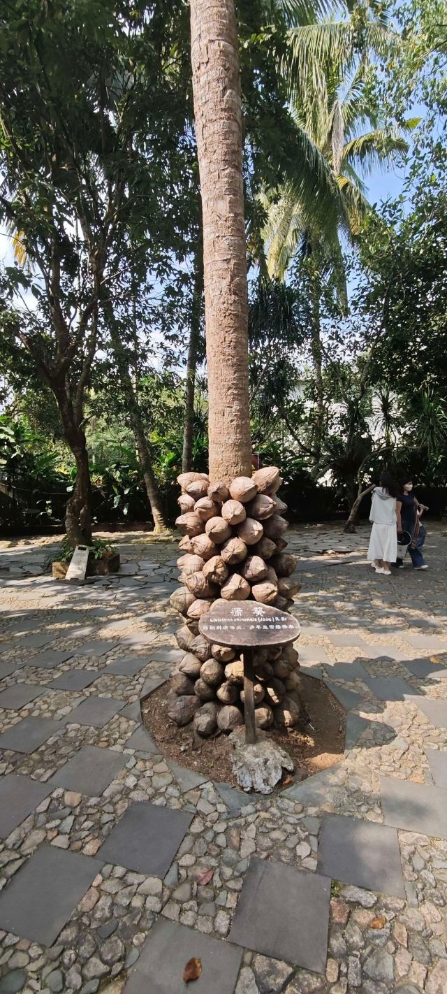巴厘村旅行图片 3
