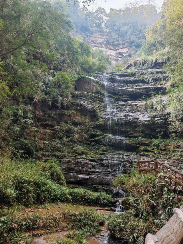 碧峰峡风景区旅行图片 2